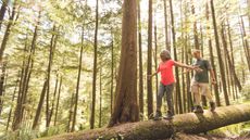 A retired couple balance on a fallen tree trunk as they hike in the woods.