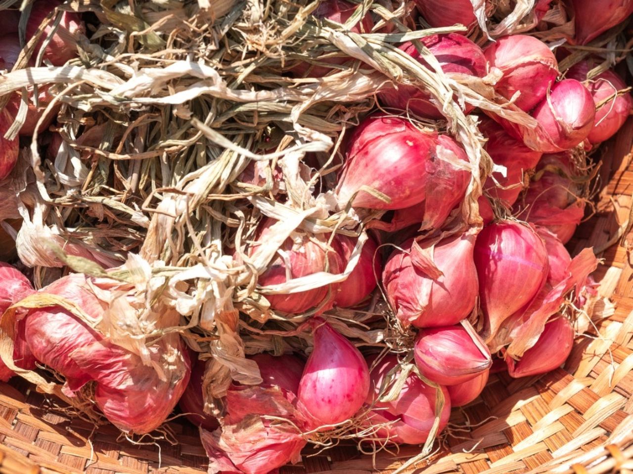 Wooden Basket Full Of Shallot Plants