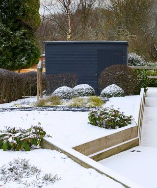 smart shed in winter garden