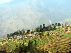 himalaya01-gallery-02