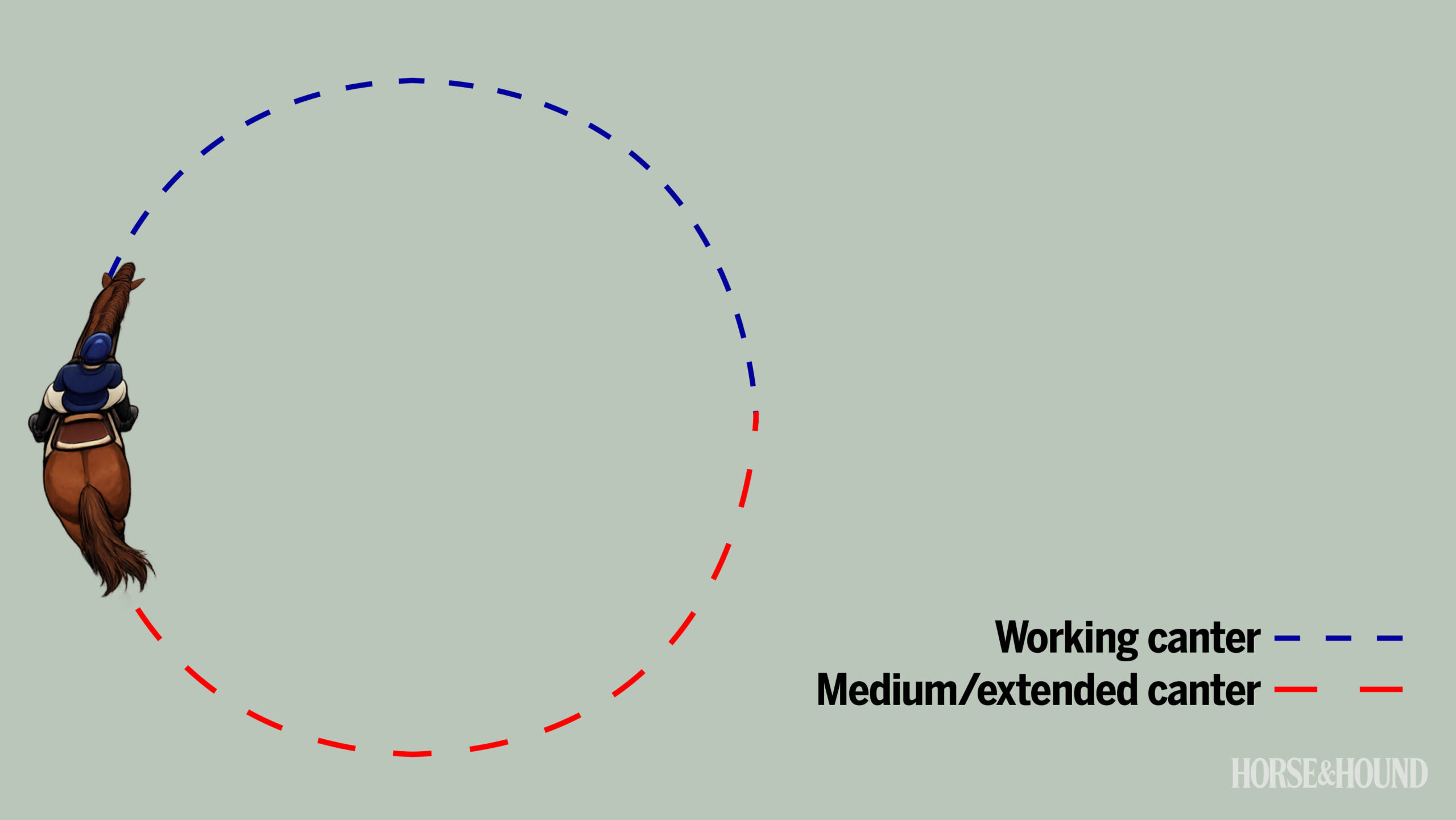 Diagram of exercise for horse training, practising extended canter strides