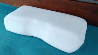 Caramel Quin testing Back In Action Memory Foam Pillow