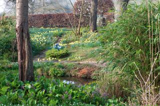 naturalistic planting in a spring garden