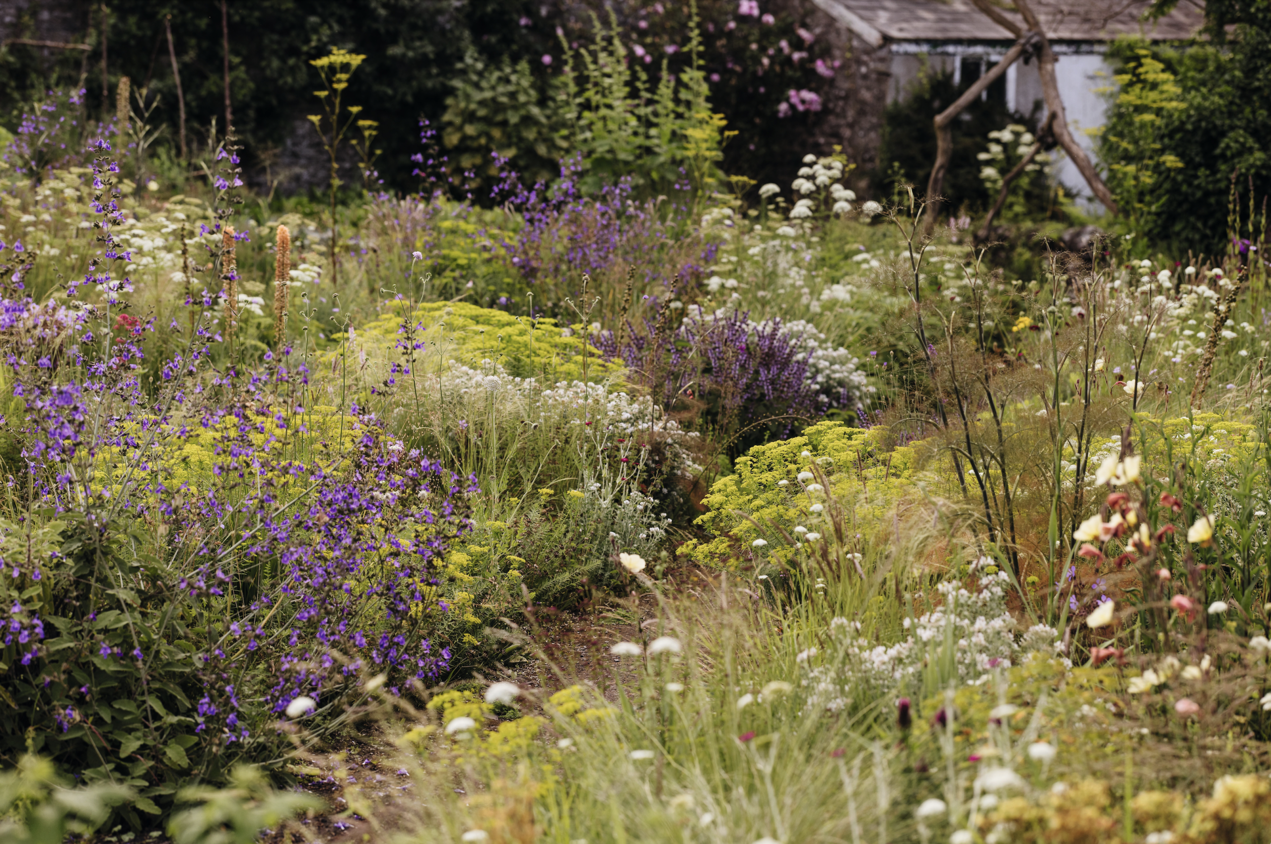 Sarah Price's gravel and sand garden