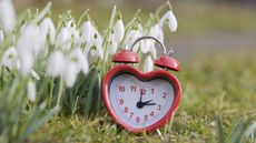Don't forget to spring your clock forward on Sunday (March 13) at 2 a.m. Daylight saving time begins. Here, an alarm clock with a spring flower background.