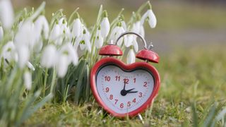 Don't forget to spring your clock forward on Sunday (March 13) at 2 a.m. Daylight saving time begins. Here, an alarm clock with a spring flower background.