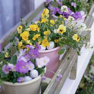 balcony area with flower pots and window box