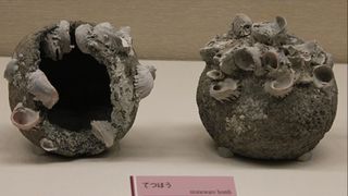 400-year-old stone-shelled grenades unearthed near the Badaling Great Wall. Large, heavy dark gray spheres with included materials and seashells.