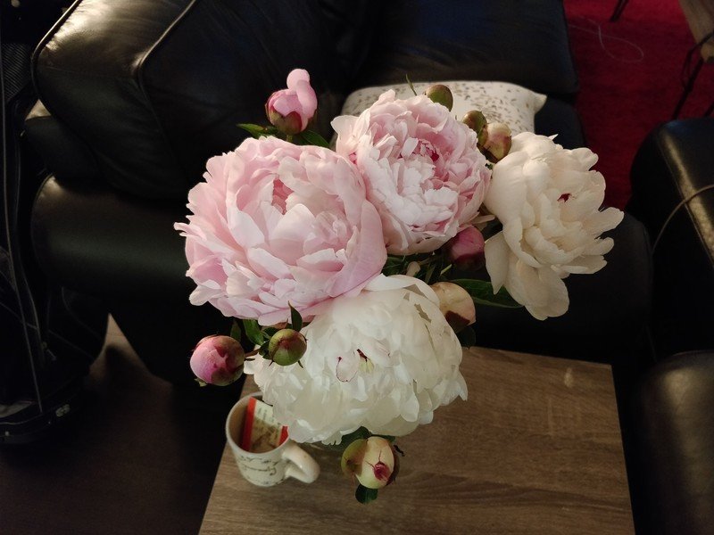 OnePlus 5 camera sample