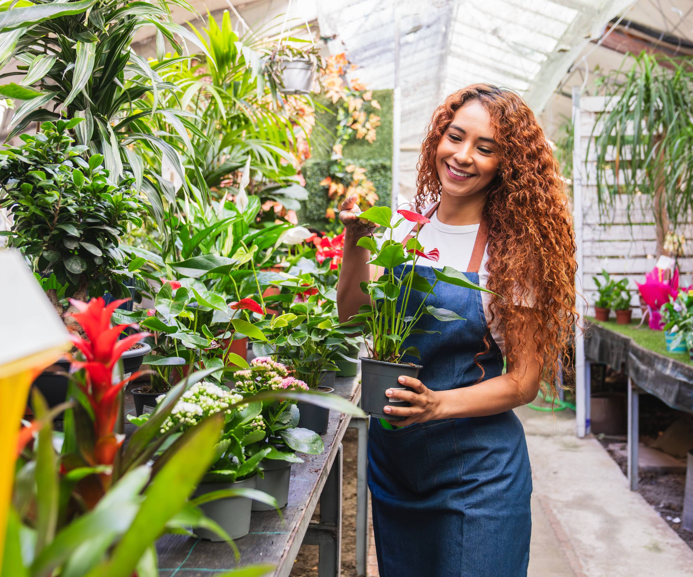 A woman in an apron holds a plant in a greenhouse