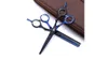 SMITH CHU Hair Cutting Scissors and Thinning Shears