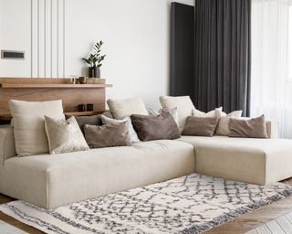 Modern living room idea with cream legless sofa and Fishpools Alto rug in cream