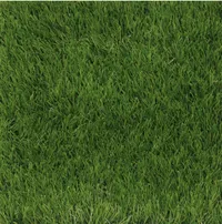 Evergreen Artificial Grass - Assorted Sizes starting at $79.98, at Sam's Club