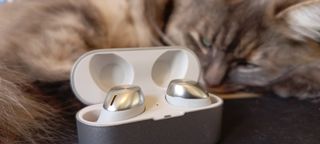 A pair of silver Technics EAH-AZ40M2 earphones in front of a sleeping cat