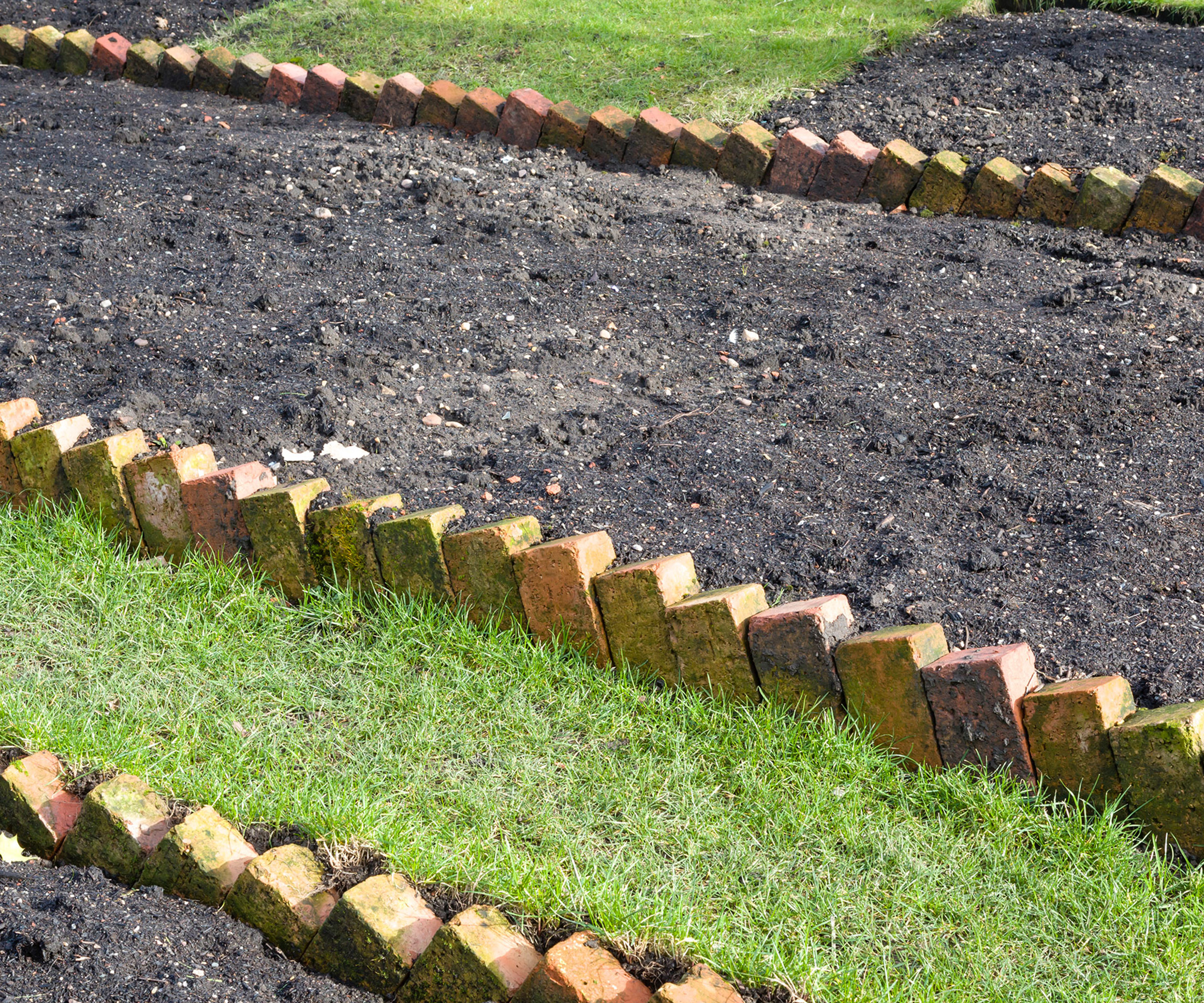 Reclaimed bricks, laid diagonally as garden edging