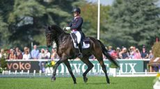 Blenheim European Championships dressage: Tom McEwen and JL Dublin