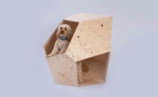 ‘PIM.dog’ kennel, by piM.studio Architects