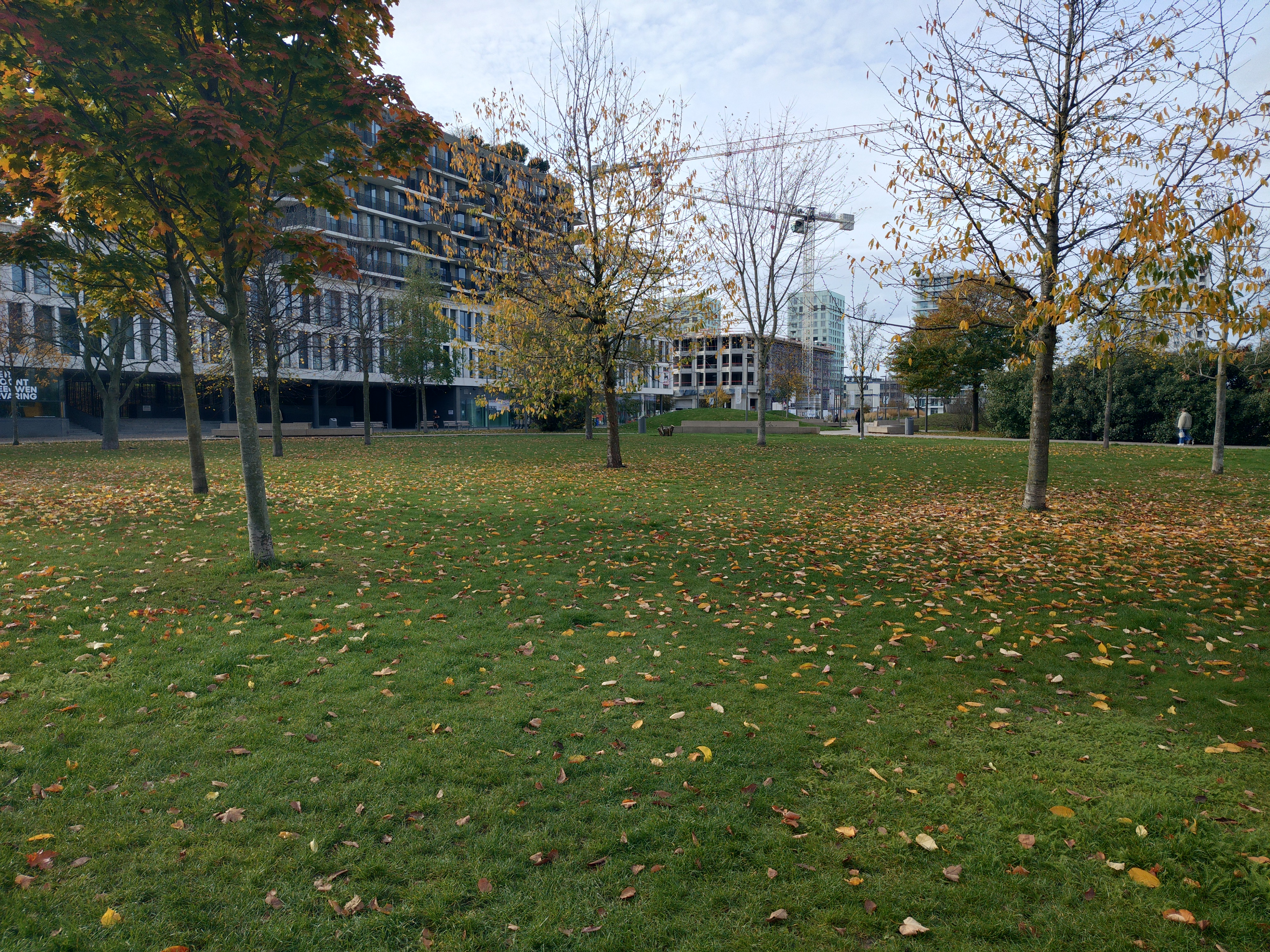 Voorbeeldfoto Sony Xperia 10 VII