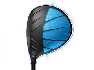 Ping G driver Dragon Fly crown
