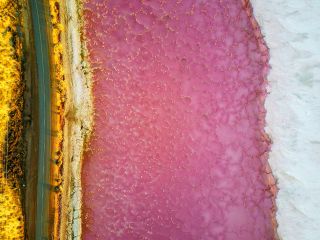 An aerial view of a pink salt lake