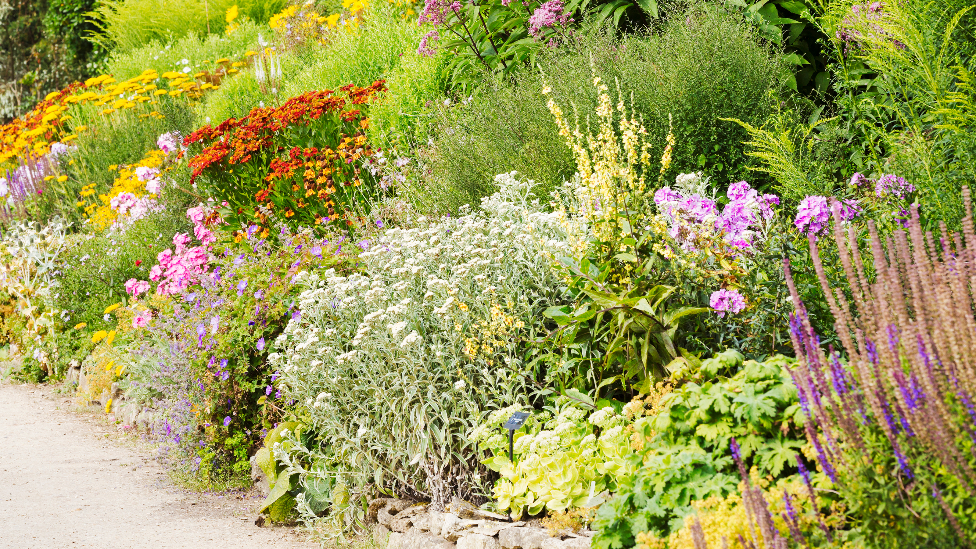 mixed border of flowers - Mint Images - GettyImages-691039447