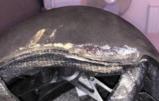Damaged-hat.jpg