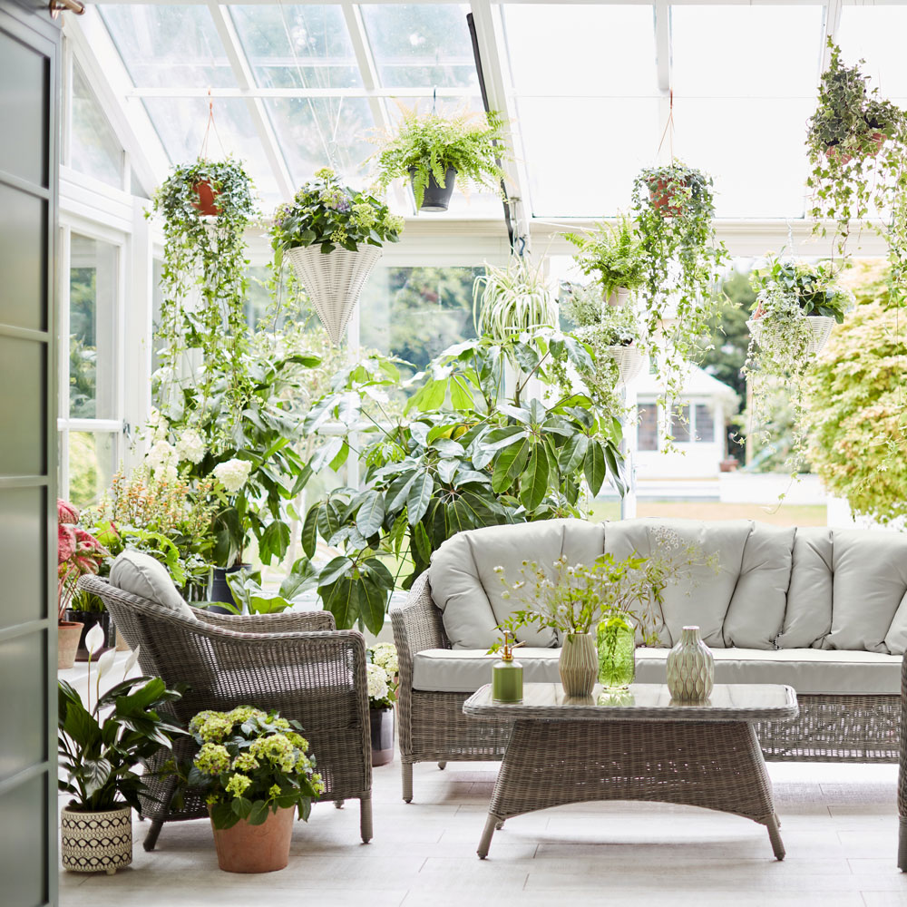 Greenhouse conservatory with hanging house plants and Dobbies Westbourne wicker garden furniture set