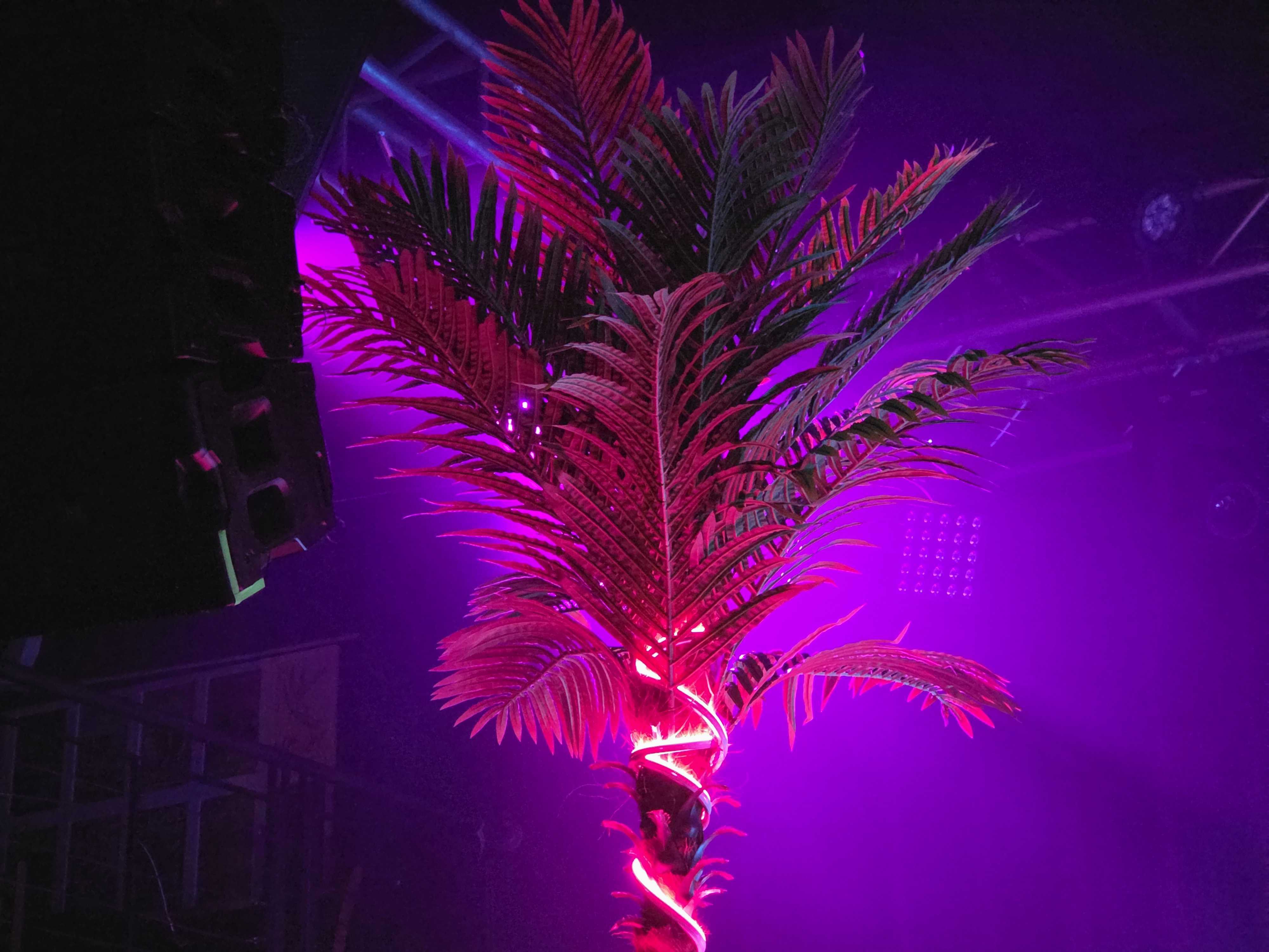 A tree in a dimly lit room with neon lights wrapped around it
