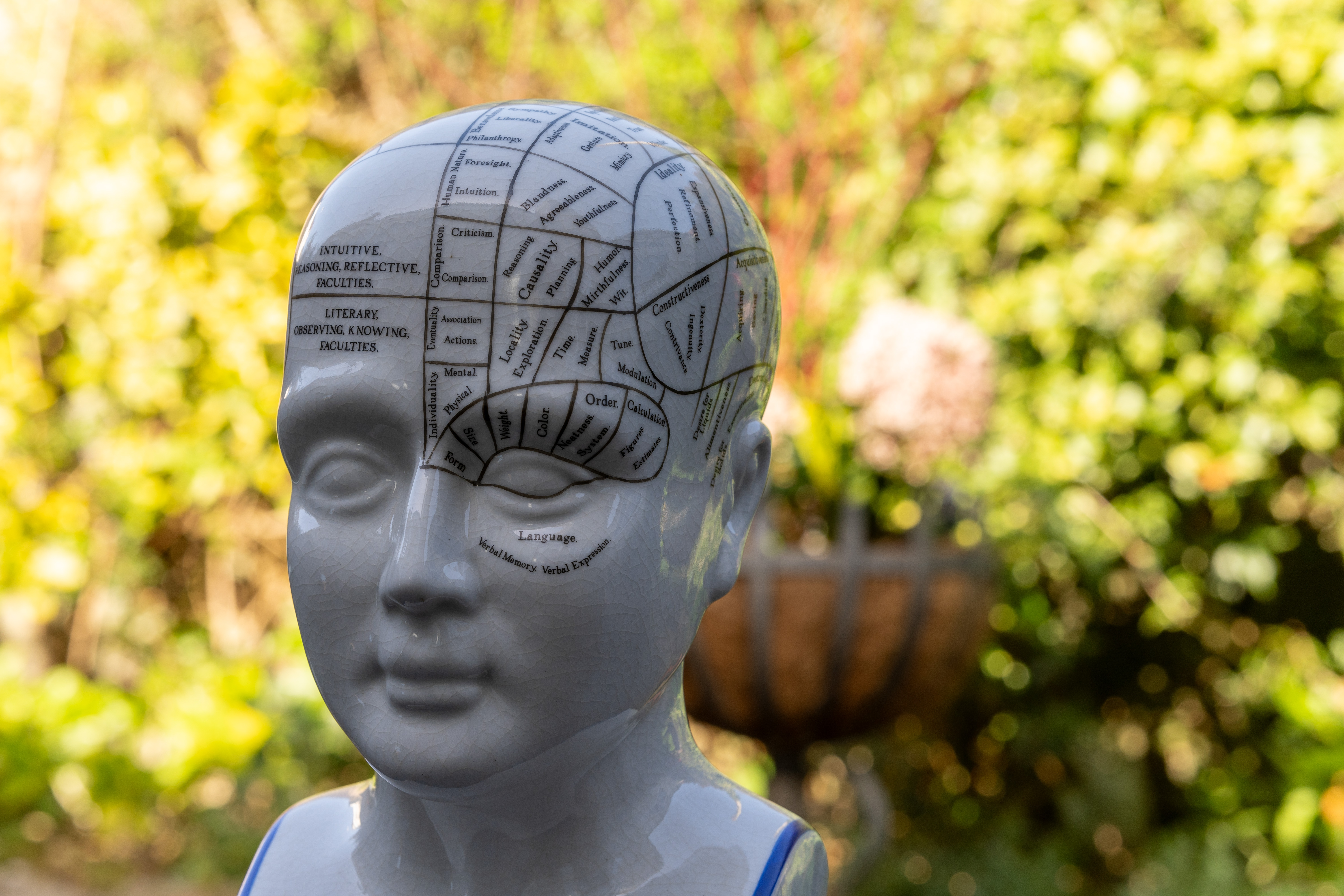 Meike AF 85mm f/1.8 SE II sample image