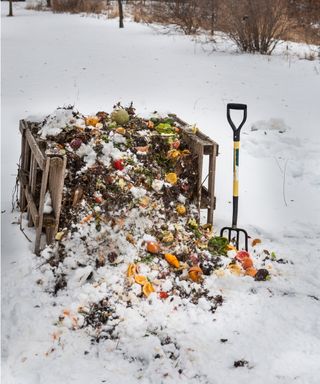 Snowy compost bin