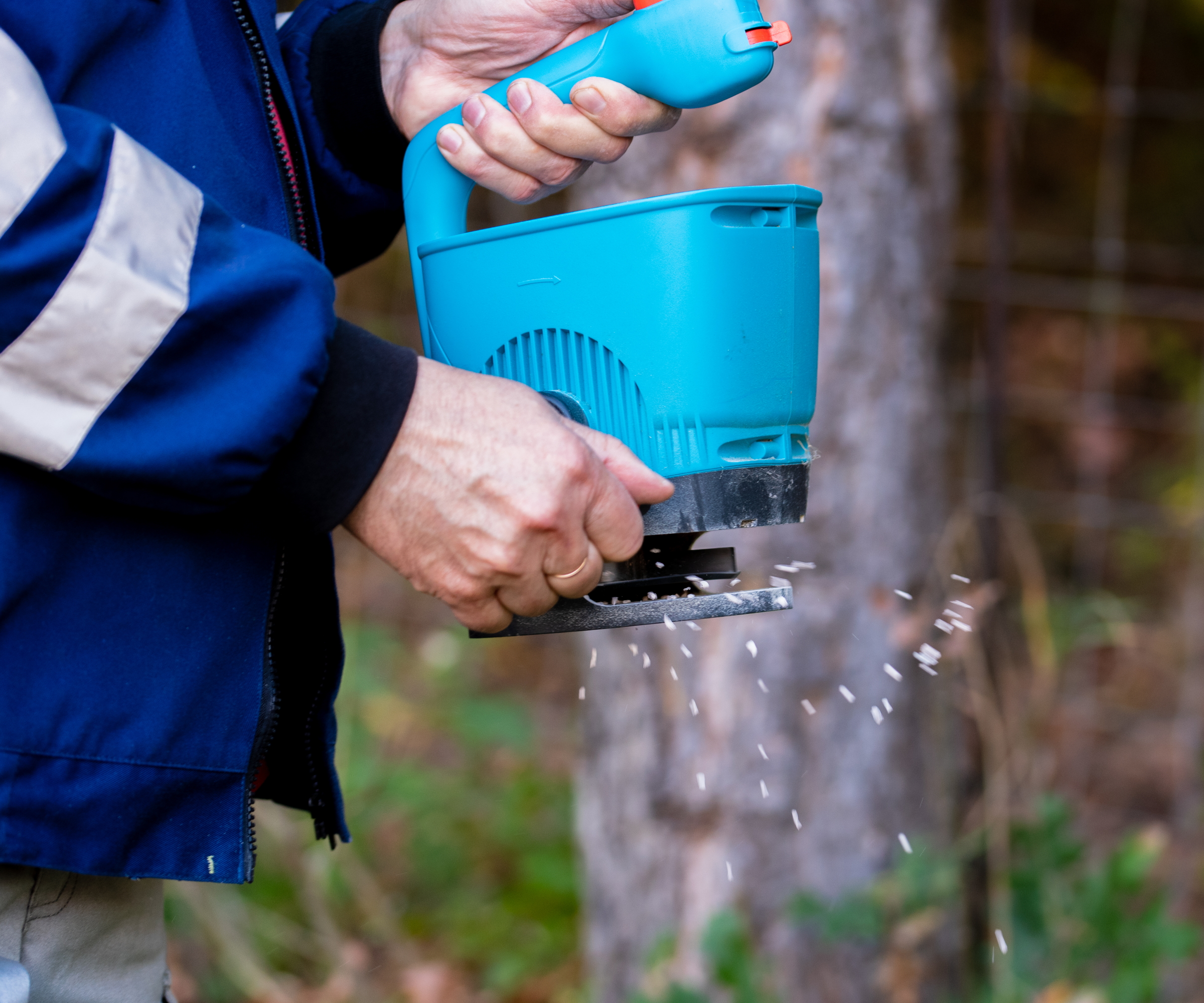 A gardener fertilizes a lawn using a hand spreader