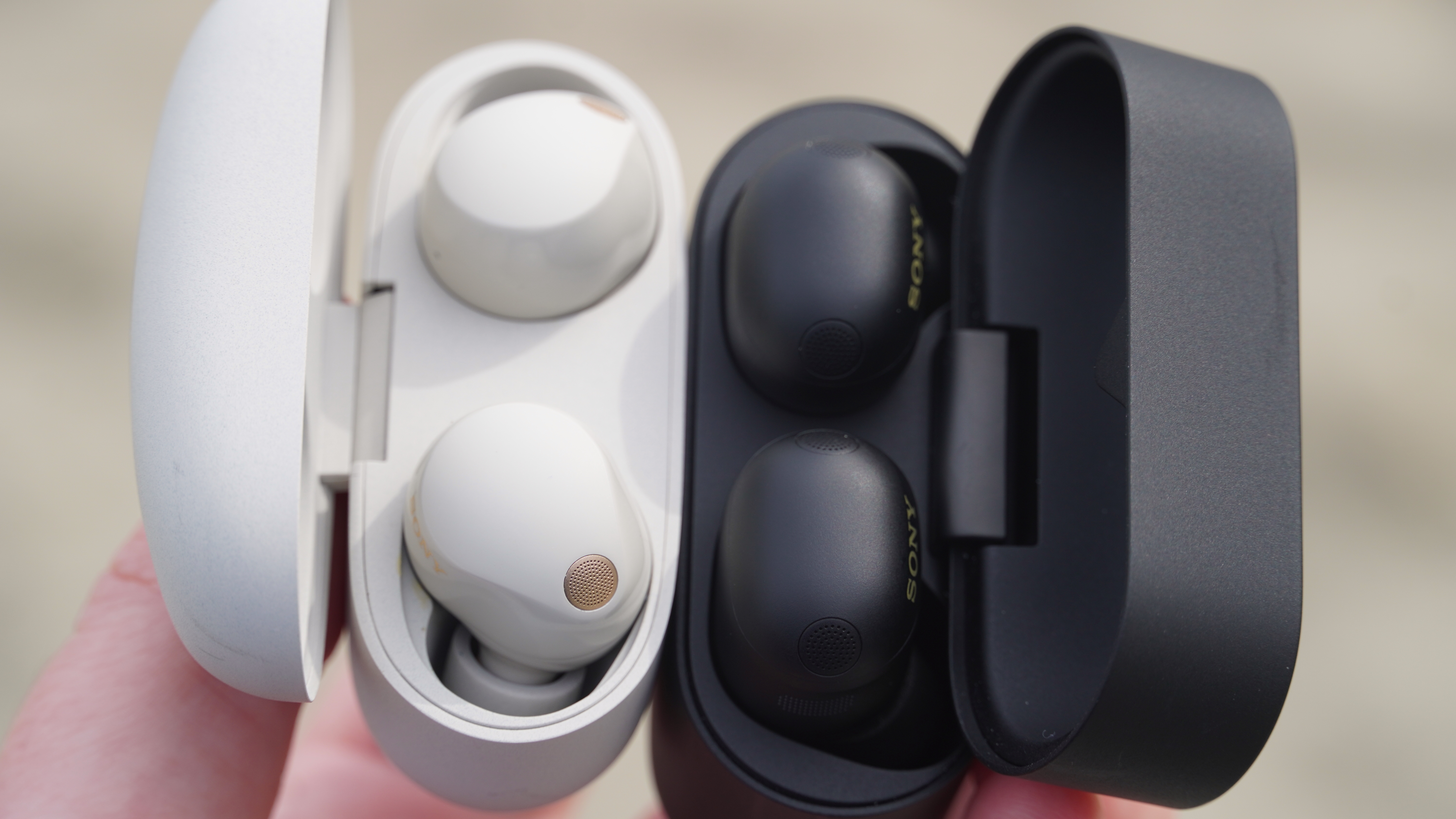 The Sony WF-1000XM5 in Platinum Silver compared to the Sony WF-1000XM6 in Black.