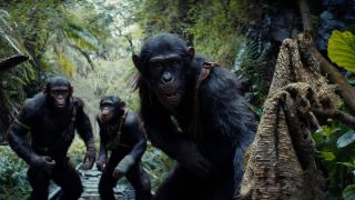 Noa (played by Owen Teague), Soona (played by Lydia Peckham), and Anaya (played by Travis Jeffery) discover human cloth in Kingdom Of The Planet Of The Apes
