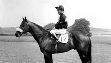 HAH308.legendsMillReef.main_mill_reef_1_hr_ti_archive.jpg