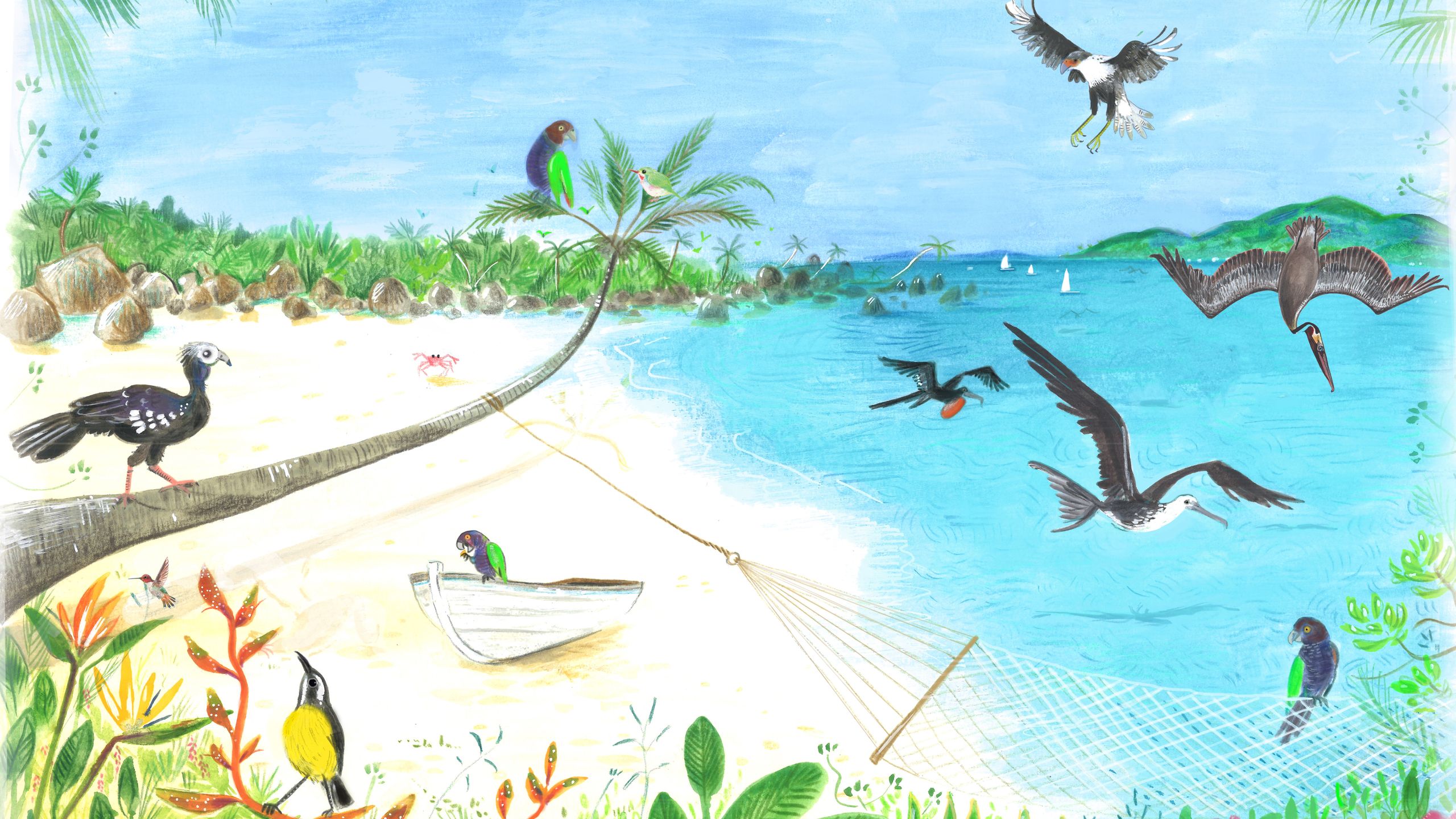 From the Caribbean with love: The other James Bond who wrote the definitive guide to tropical birds