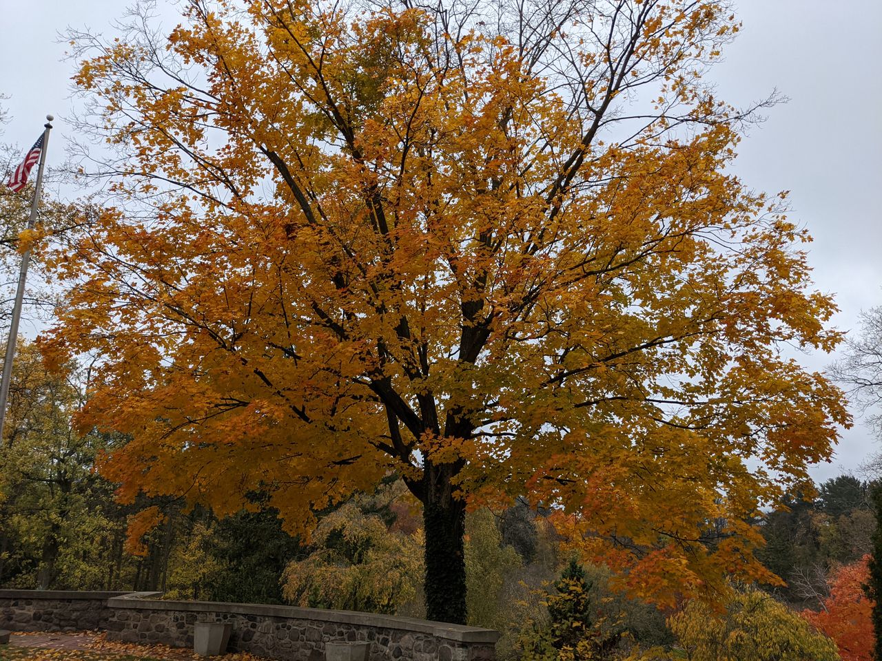 Pixel 5