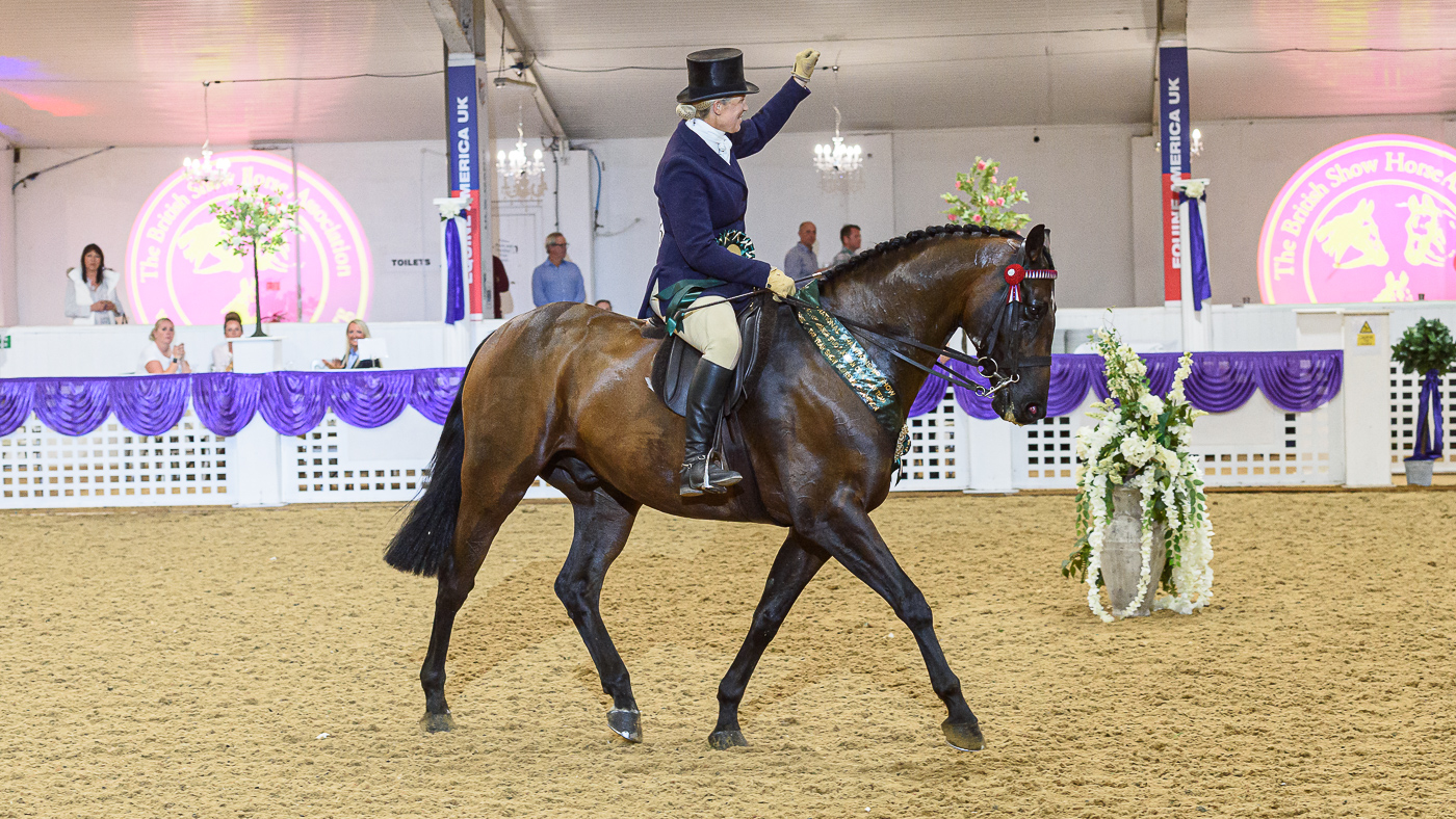 - BHSA National Championship Show 2021