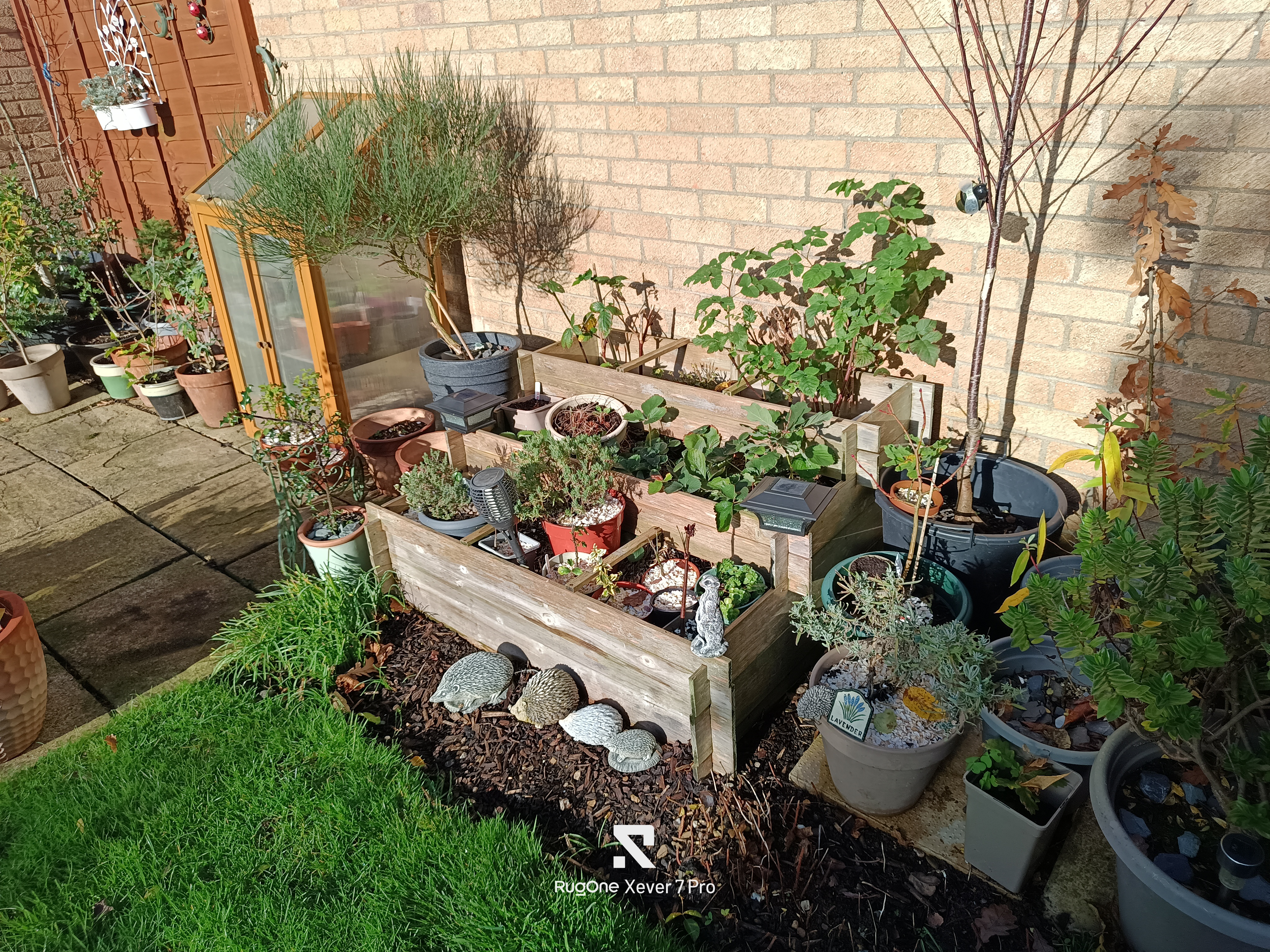 RugOne Xever 7 Pro Photo Examples