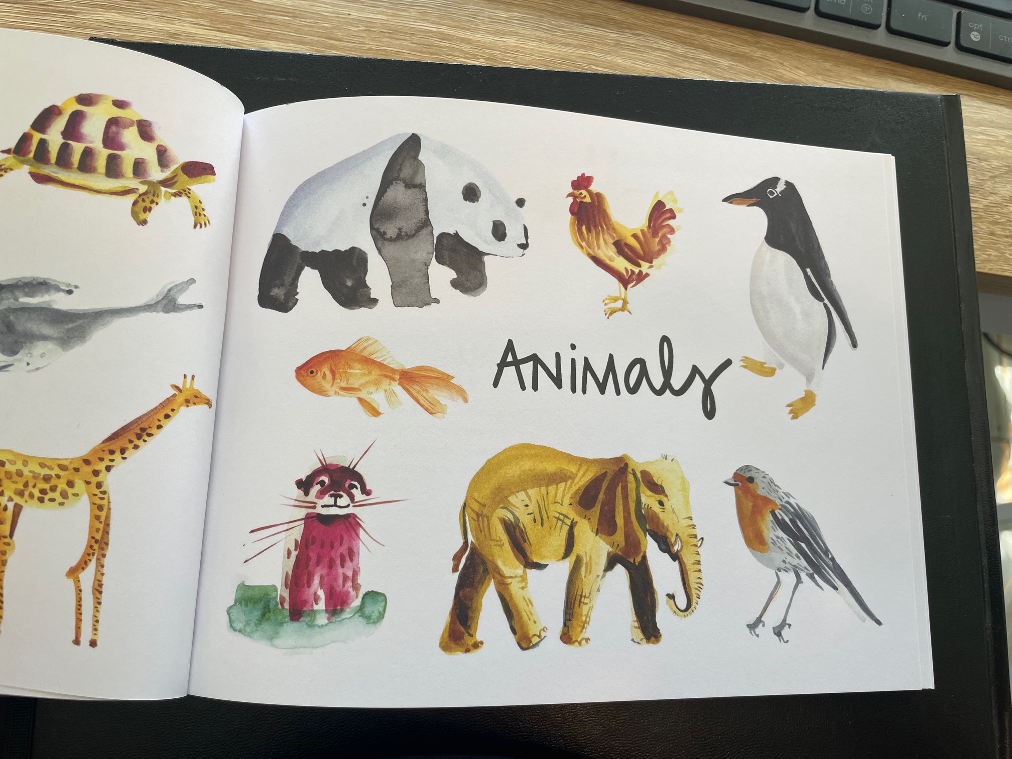 book that says animals on it with different animal drawings