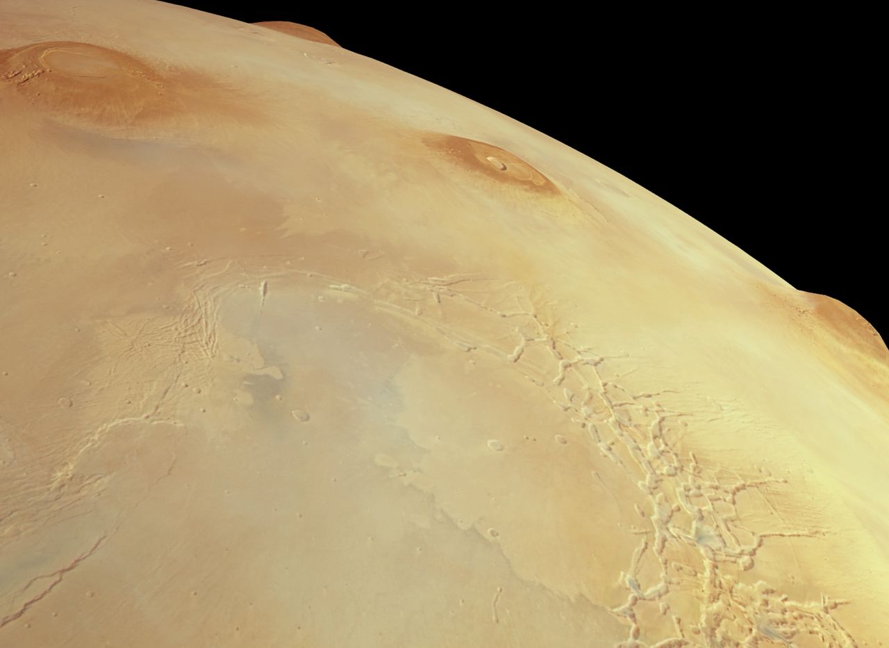 Martian volcanoes, and the tallest mountain ever known