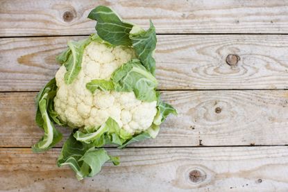 how to grow cauliflowers