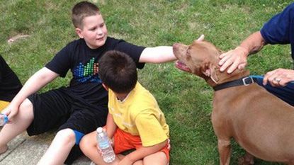 Good boy: Pit bull saves deaf teenager from fire