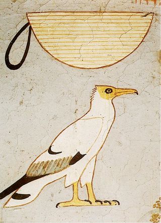 This painted piece of plaster, supposedly found in the tomb, raises suspicions that Vassalli faked the painting. It shows a basket and vulture, symbols that in Egyptian hieroglyphs represent a G and A respectively, possibly the initials of Vassalli's second wife.