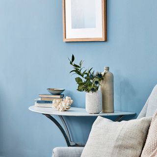 frame on coastal blues wall and potted plant with books