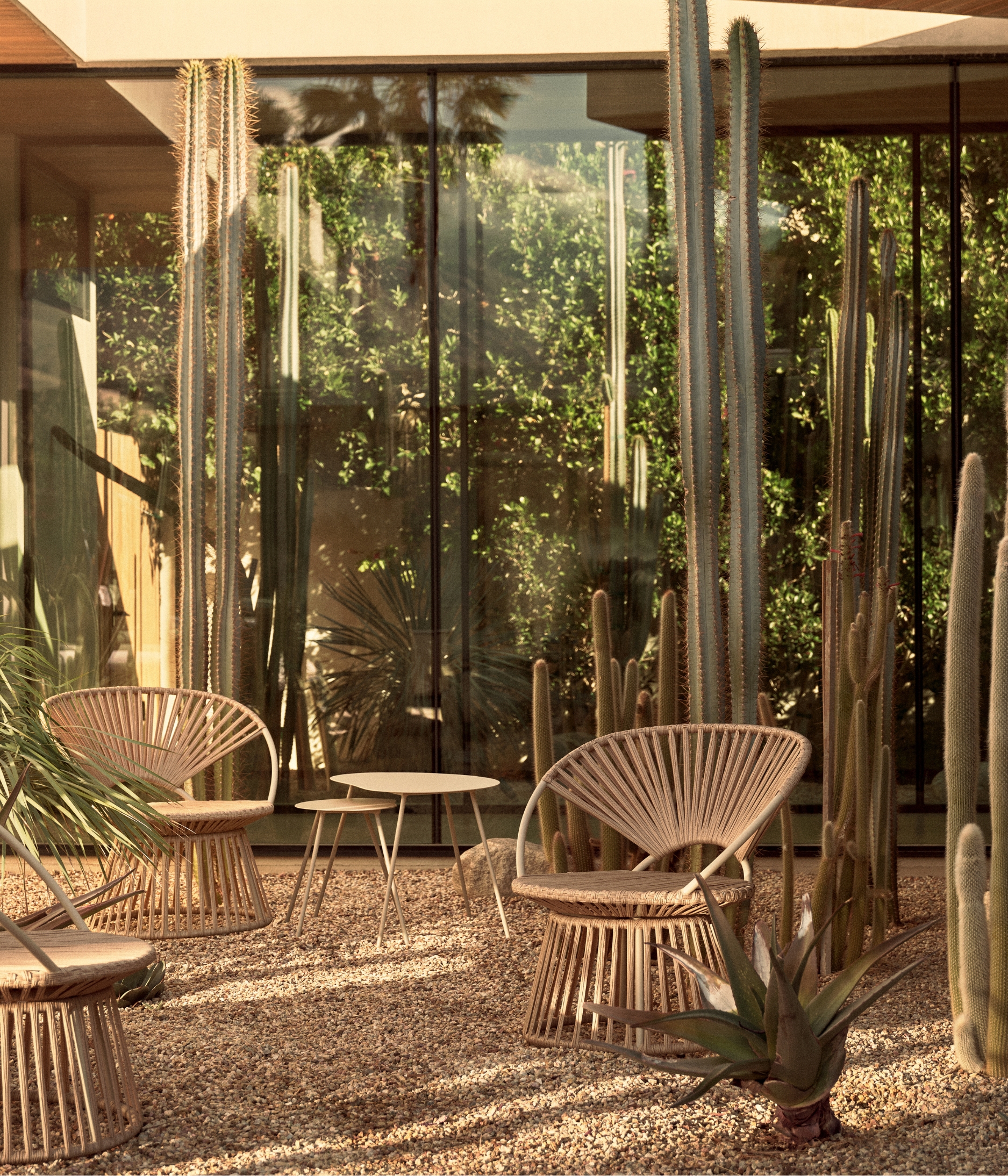 a set of curved rattan chair sin a modern home's courtyard with a cacti garden