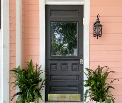A front porch of a weatherboard house painted pink with two potted ferns on the doorstep