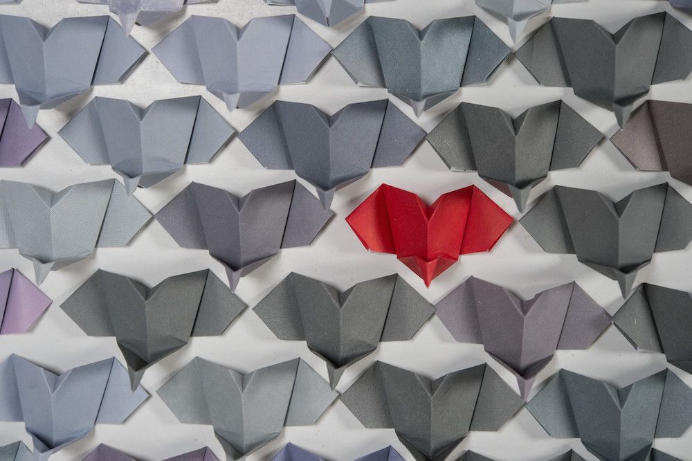 in-photos-the-world-s-largest-display-of-origami-elephants-live-science