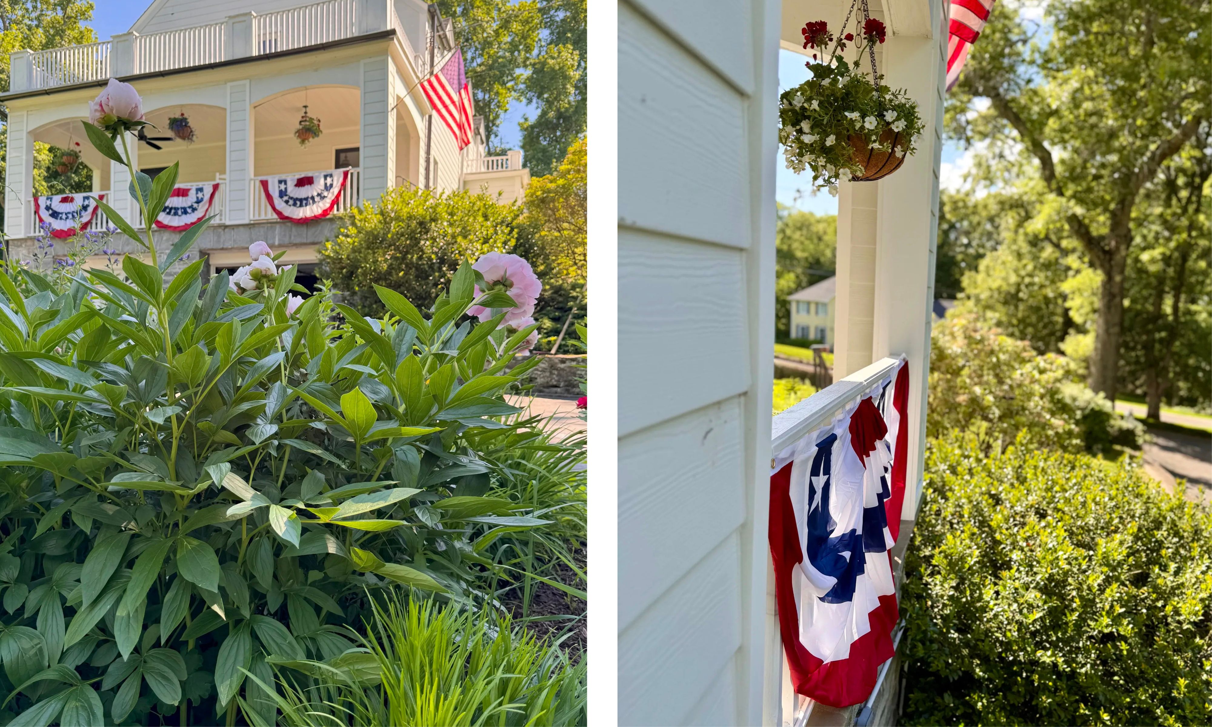 Pink peony bushes in front of a white house with American flags on the left; a view from a white porch rail decorated with patriotic bunting on the right.