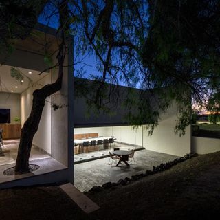 Exterior of contemporary office building at night with overhanging tree and outside seating.