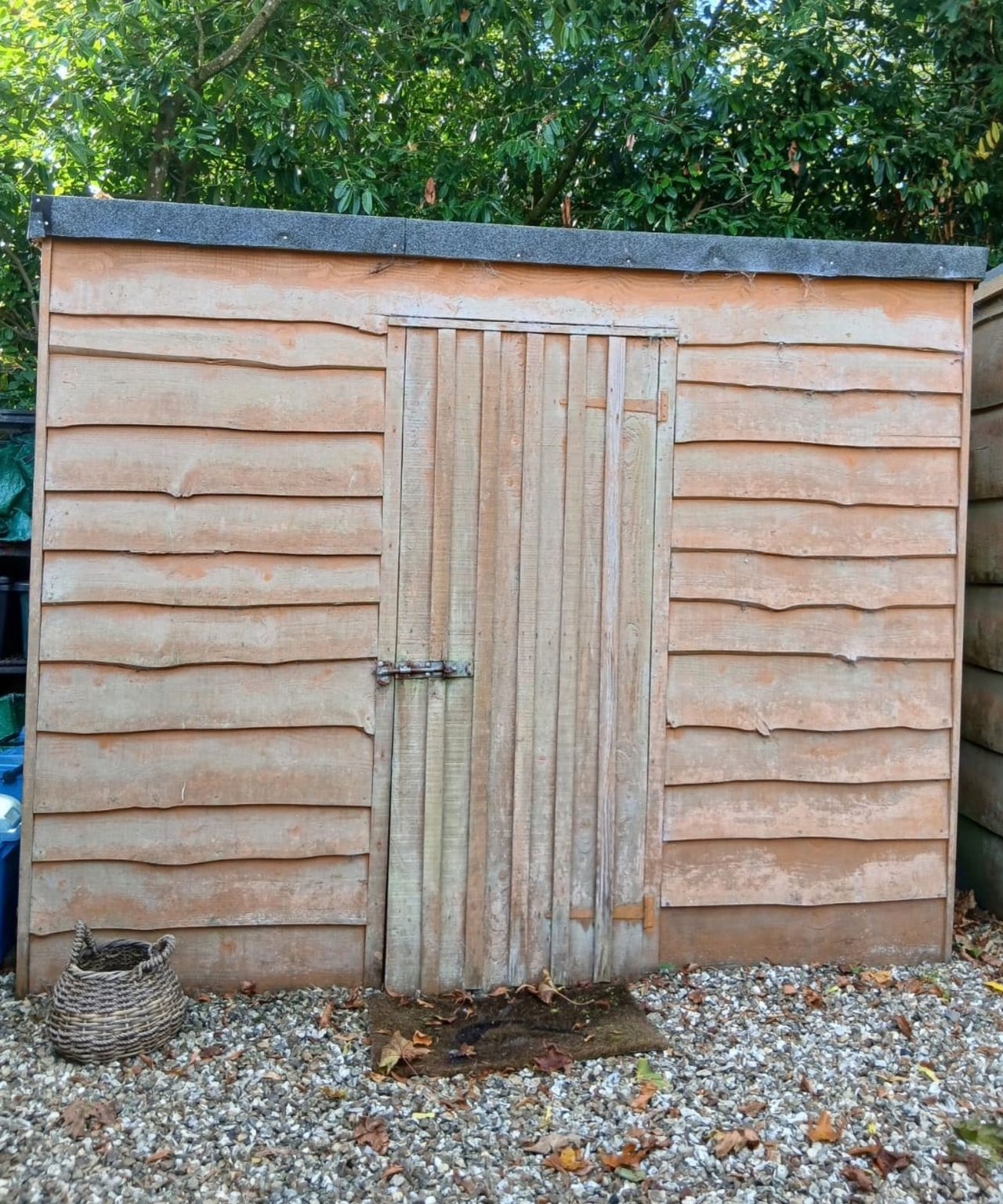 Wooden garden shed with a felt roof and latched plank door, beside a wicker basket on gravel.